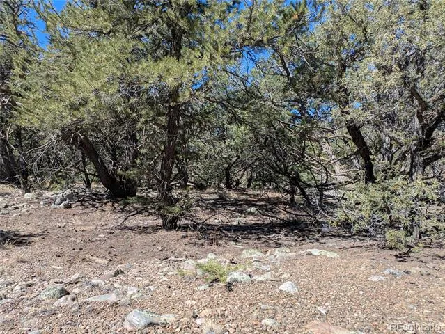 2202 Spanish Creek Road Crestone, CO 81131