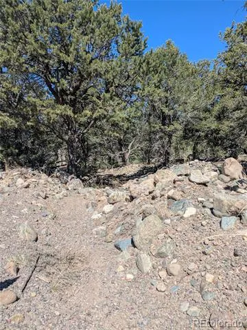2202 Spanish Creek Road Crestone, CO 81131