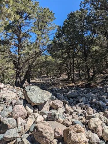 2202 Spanish Creek Road Crestone, CO 81131