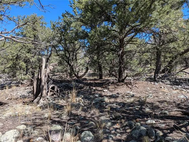 2202 Spanish Creek Road Crestone, CO 81131