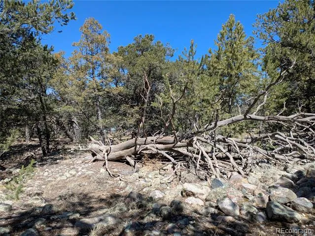 2202 Spanish Creek Road Crestone, CO 81131