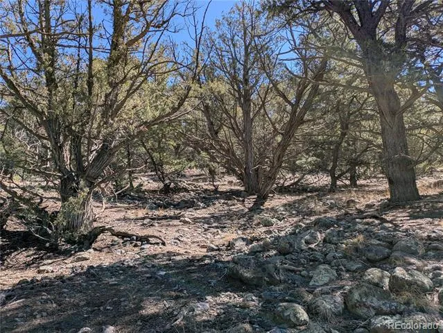 2202 Spanish Creek Road Crestone, CO 81131