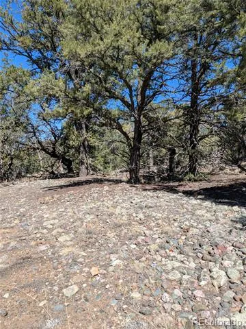 2202 Spanish Creek Road Crestone, CO 81131