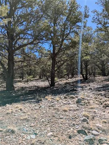2202 Spanish Creek Road Crestone, CO 81131