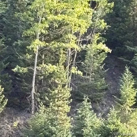 3 Miners Road Black Hawk, CO 80422