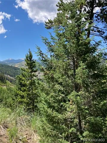 3 Miners Road Black Hawk, CO 80422
