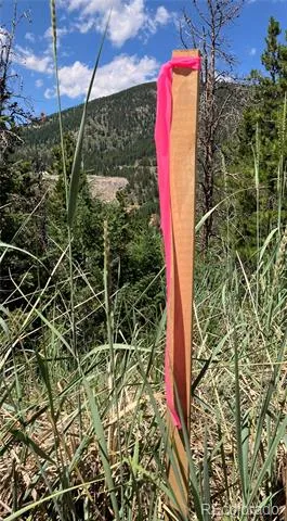 3 Miners Road Black Hawk, CO 80422