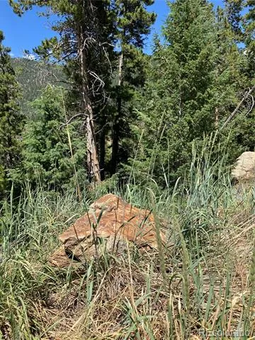 3 Miners Road Black Hawk, CO 80422