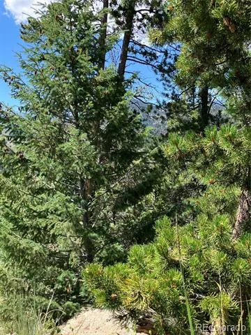 3 Miners Road Black Hawk, CO 80422