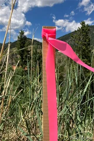3 Miners Road Black Hawk, CO 80422