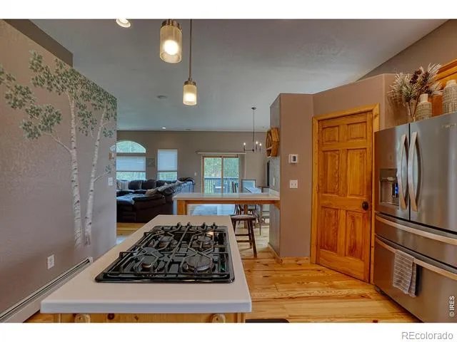 2353 Dory Hill Road Black Hawk, CO 80422