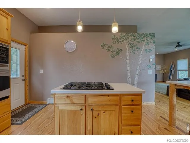 2353 Dory Hill Road Black Hawk, CO 80422