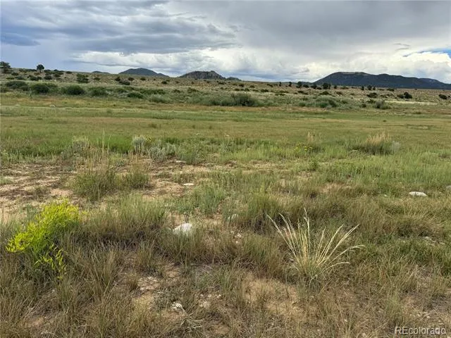 24277 River Rock Lane Buena Vista, CO 81211