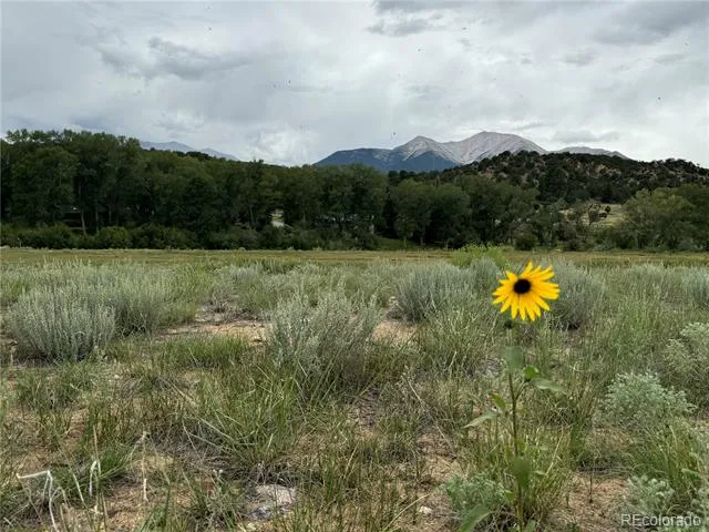 24277 River Rock Lane Buena Vista, CO 81211