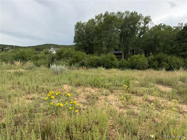 24277 River Rock Lane Buena Vista, CO 81211
