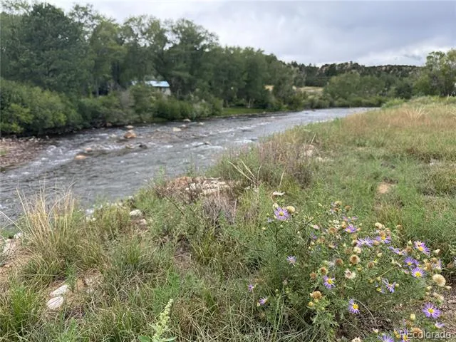 24277 River Rock Lane Buena Vista, CO 81211