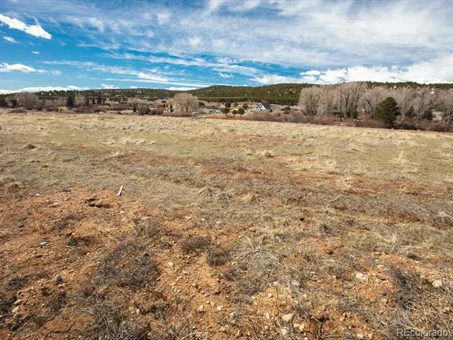 24277 River Rock Lane Buena Vista, CO 81211