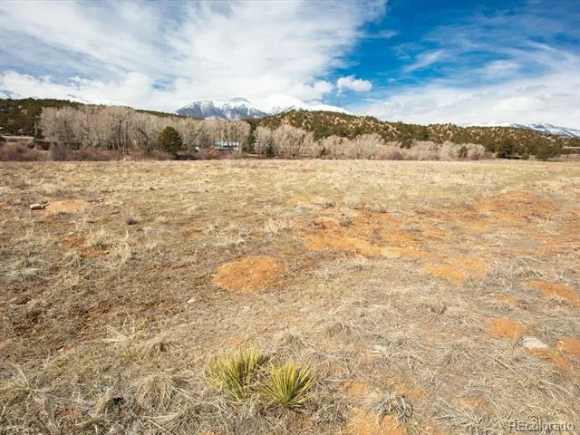 24277 River Rock Lane Buena Vista, CO 81211