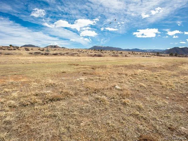 24277 River Rock Lane Buena Vista, CO 81211
