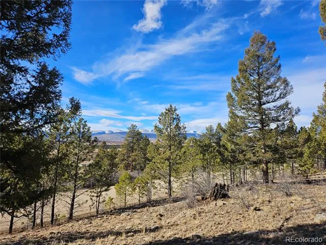 Bonell Drive Fairplay, CO 80440