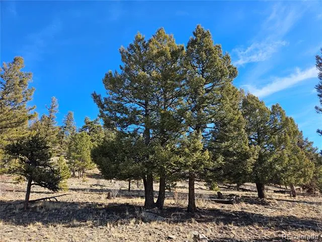 Bonell Drive Fairplay, CO 80440