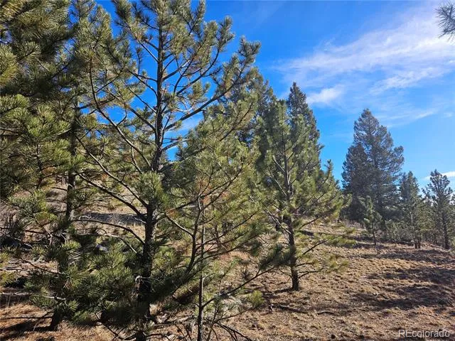 Bonell Drive Fairplay, CO 80440