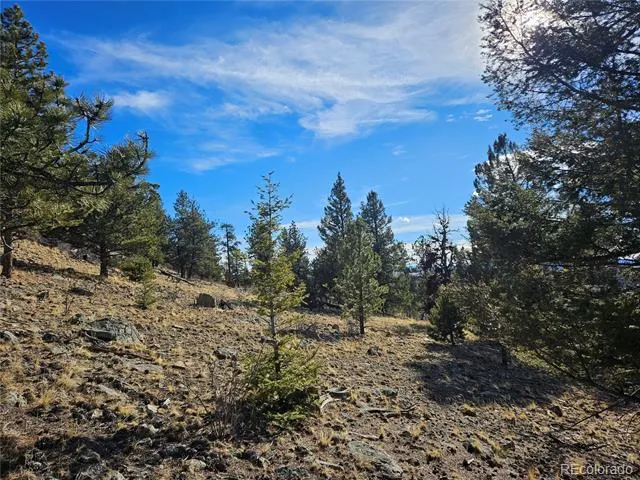 Bonell Drive Fairplay, CO 80440
