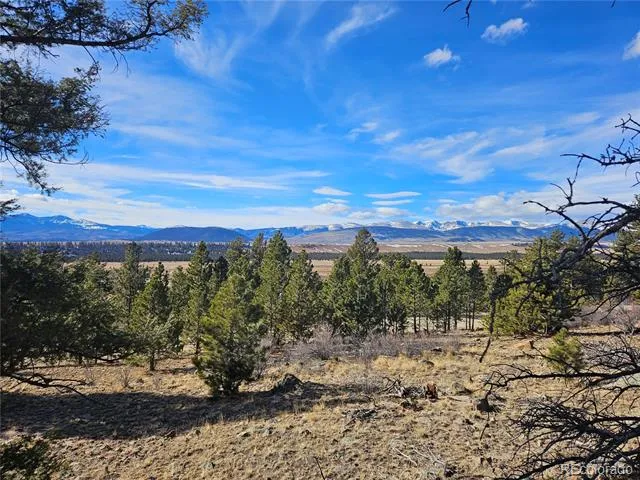 Bonell Drive Fairplay, CO 80440