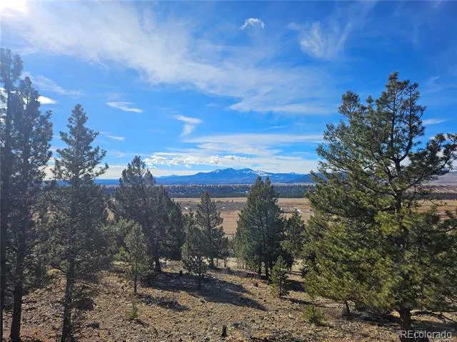 Bonell Drive Fairplay, CO 80440