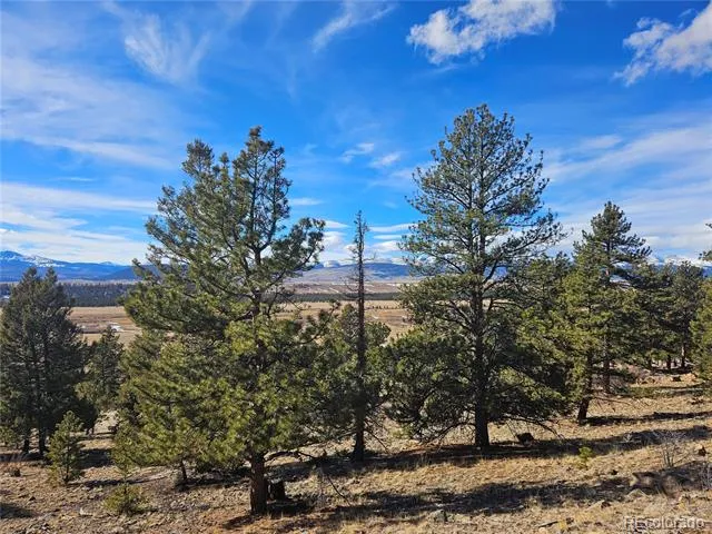 Bonell Drive Fairplay, CO 80440