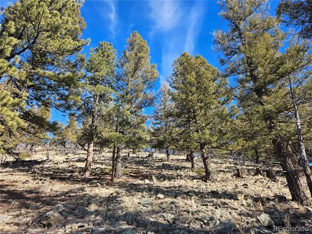 Bonell Drive Fairplay, CO 80440