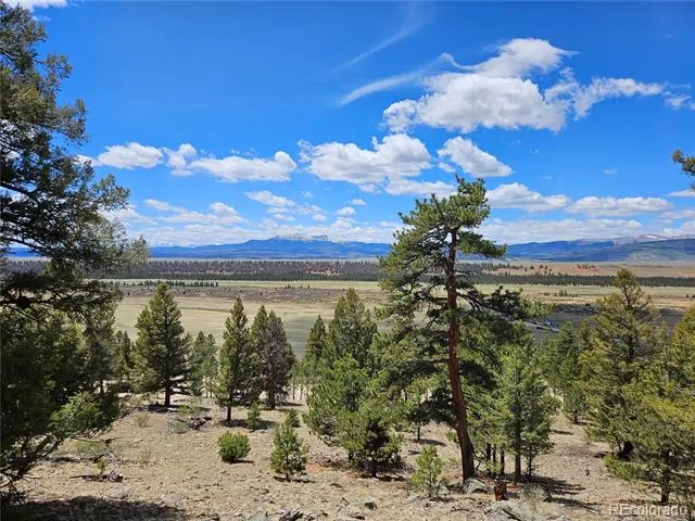 Bonell Drive Fairplay, CO 80440