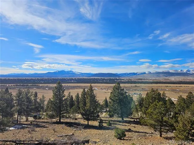 Bonell Drive Fairplay, CO 80440