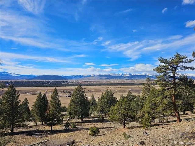 Bonell Drive Fairplay, CO 80440