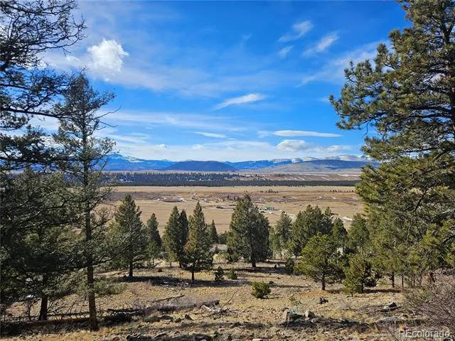 Bonell Drive Fairplay, CO 80440