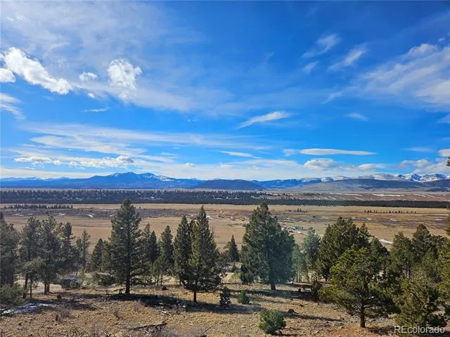 Bonell Drive Fairplay, CO 80440