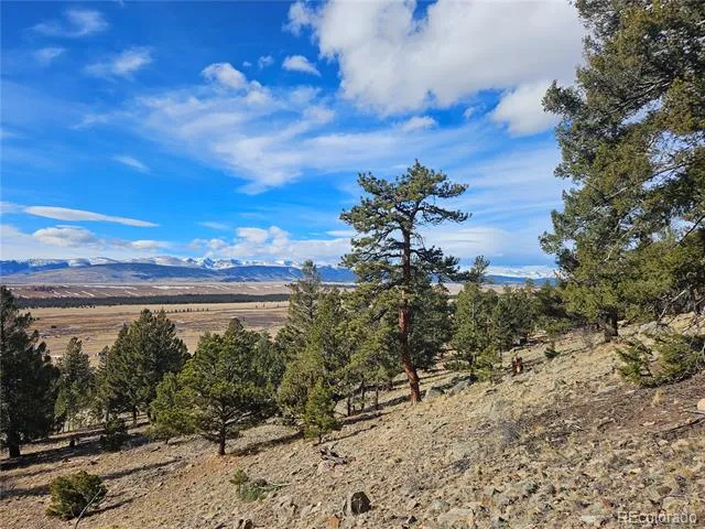Bonell Drive Fairplay, CO 80440
