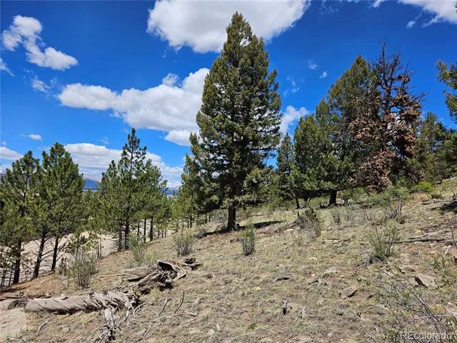 Bonell Drive Fairplay, CO 80440