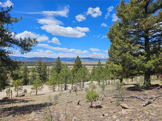 Bonell Drive Fairplay, CO 80440