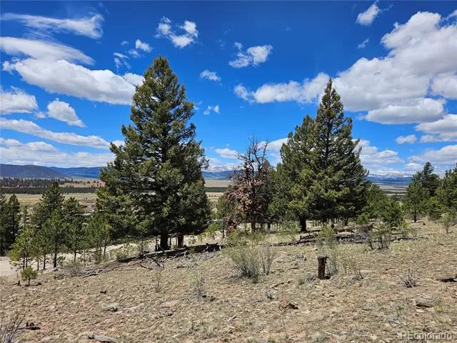 Bonell Drive Fairplay, CO 80440