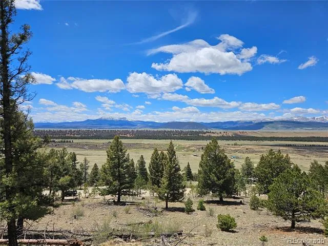 Bonell Drive Fairplay, CO 80440