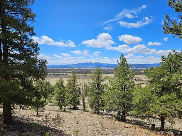 Bonell Drive Fairplay, CO 80440
