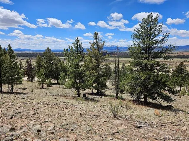 Bonell Drive Fairplay, CO 80440