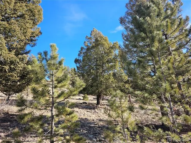 Bonell Drive Fairplay, CO 80440
