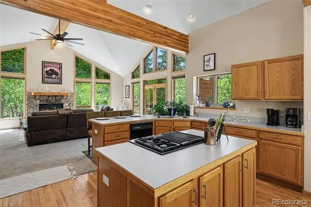 1211 Hughesville Road Black Hawk, CO 80422