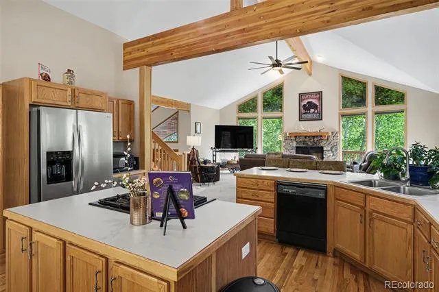 1211 Hughesville Road Black Hawk, CO 80422