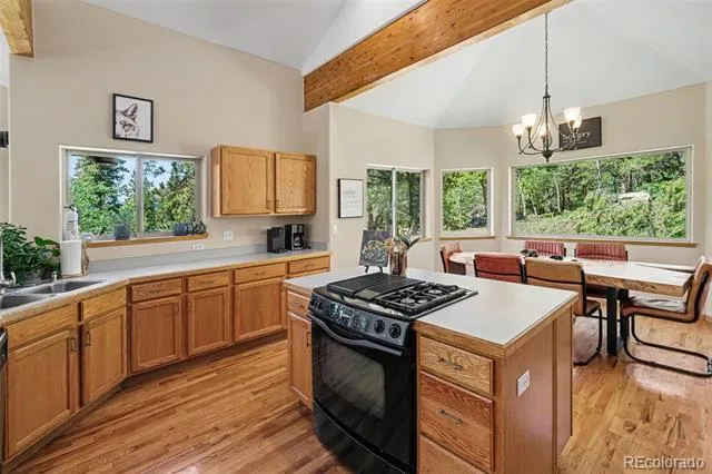 1211 Hughesville Road Black Hawk, CO 80422
