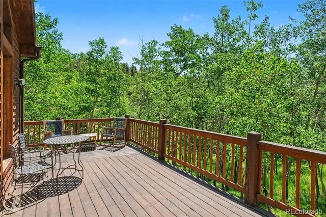 1211 Hughesville Road Black Hawk, CO 80422