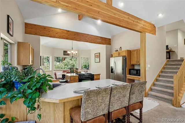 1211 Hughesville Road Black Hawk, CO 80422