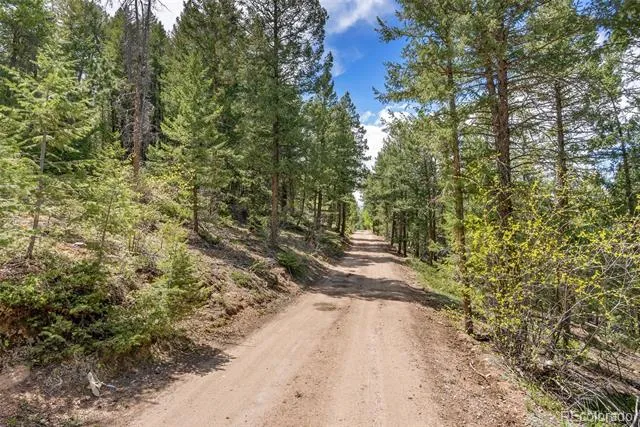Lost Cabin Trail Evergreen, CO 80439